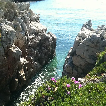 Studio Crista Antibes
